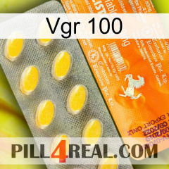 Vgr 100 new05